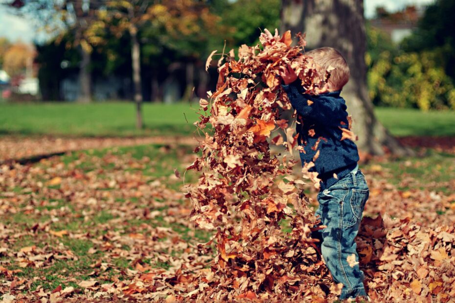 Sensory Splendor: Infusing Outdoor Play With Sensory Activities For Babies And Toddlers