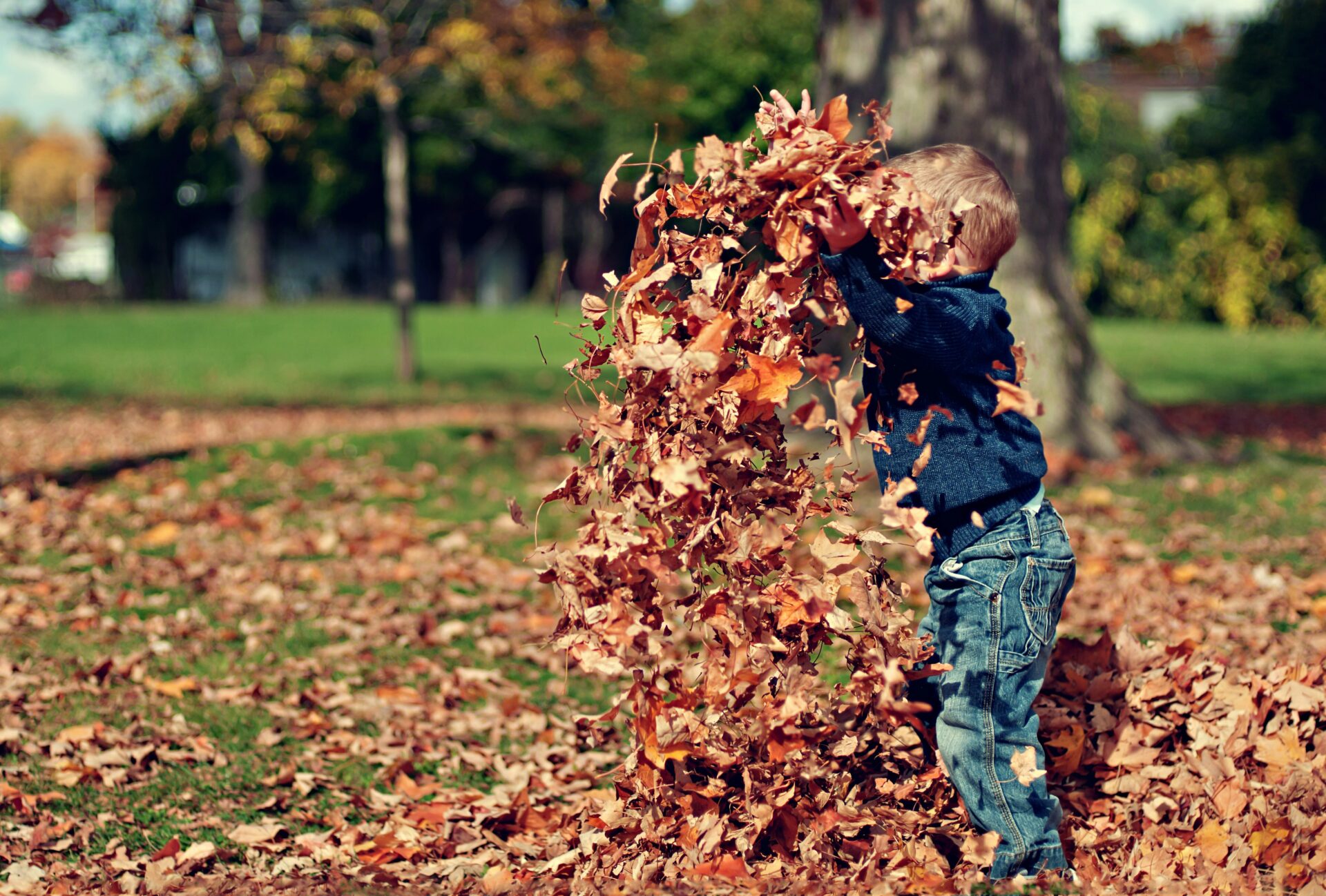 Sensory Splendor: Infusing Outdoor Play With Sensory Activities For Babies And Toddlers